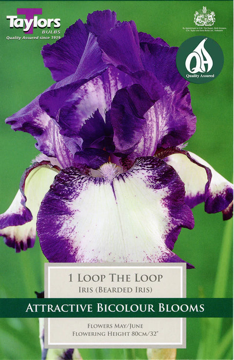 Iris Loop the Loop