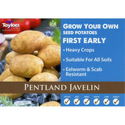 Pentland Javelin First Early 2kg