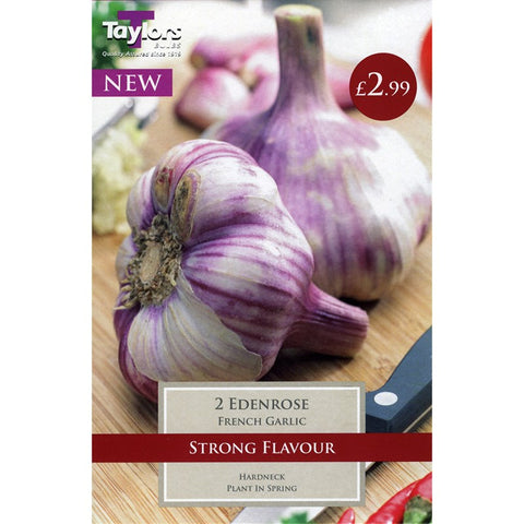 French Garlic Eden Rose